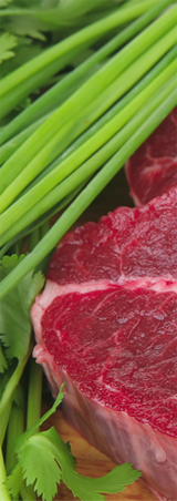 Alimentación